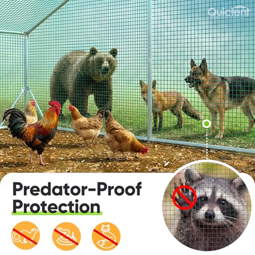 Quictent 1/2 inch Hardware Cloth for Chicken Coop 40in x 50ft 20 Gauge, Dark Green Vinyl Coated Chicken Wire Mesh, Predator Proof Chicken Fence, Garden Netting - color: 1/2" (Small Mesh), size: 50 FT