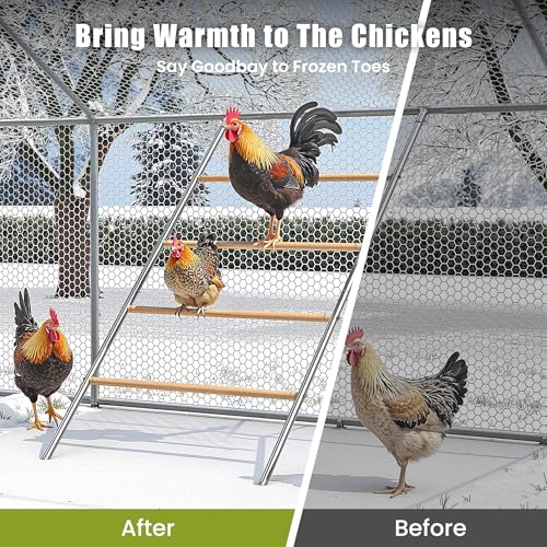 Chicken Roosting Perch - Heavy Duty 4-Tier Metal & Wood Chicken Roost Bars, Large Coop Accessory - Easy Install (55" L x 40" W) for Backyard Poultry, Hens & Farm Pens | Large Coop Accessory 4-Tier - Easy Install (55" L x 40" W) for Backyard Poultry, Hens