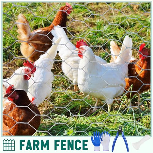 GlikCeil 24 in X 200 ft Chicken Wire Fencing Mesh, Metal Floral Chicken Wire for Floral Arrangements, 0.6 Inch Hexagonal Galvanized Poultry Netting for Garden, Coop Barrier, Duck Rabbit Cage(Silver) - color: Silver, size: 24 in X 200 ft