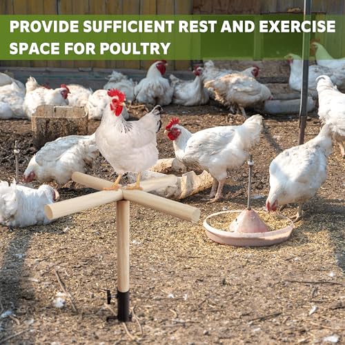 Chicken Perch Toy for Coop, Roosting Bars for Chickens in Coop, Wooden Chick Perch Stand with Metal Ground Plug, Chicken Run Toys, Chicken Coop Accessories