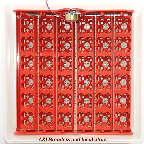 A&I Brooders and Incubators 110Volt AC 144 Quail Egg Automatic Turner RPM for Incubator Avian Poultry Local USA Distributor * 110 Volt * Full Warranty