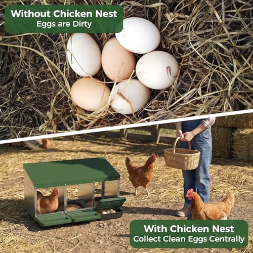 Garvee 3-Hole Chicken Nesting Box with Removable Lid, Metal Chicken Coop with Roll Away Design/Easy Egg Collection/Ventilation Holes, for Chicken Coops, Duck Coops and Hens (Green) - color: GREEN, size: 3-Hole