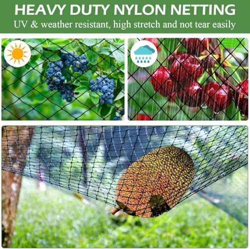 Bird Netting for Chicken Coop 16 X 50 Ft 2" Square Mesh Heavy Duty Chicken Run Netting Roof Cover Against Hawks, Eagles, Owls, UV Resistant, for Garden, Fruit Tree, Plant, Vegetable Protection - size: 2 inch mesh - 16 x 50 ft