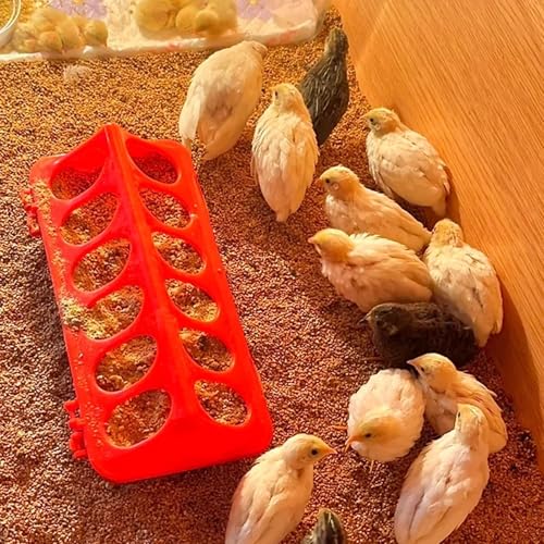 2 Pack Baby Chick Feeders, Trough for Brooder, 12-Hole Flip-Top | 2-pack flip-top feeders with 12 ports help reduce feed waste, mess and crowding for chicks, quail and ducklings. - color: 2 Pack
