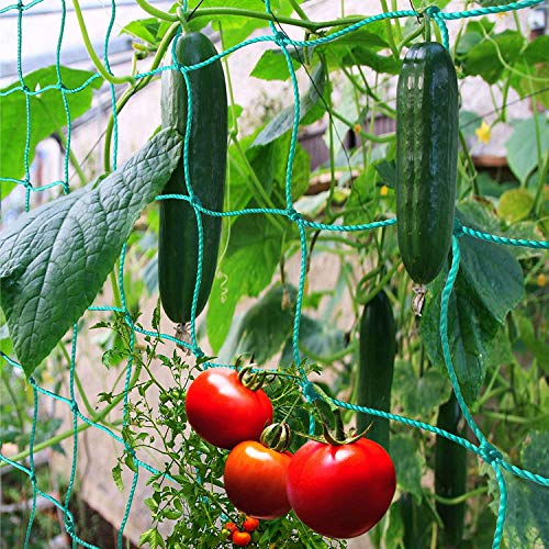 Trellis Netting for Climbing Plants - Heavy Duty Garden Trellis Netting for Cucumber, Vine, Fruits & Vegetables Tomato Plants Trellis Net, Climbing Vining Plants (1-Pack 8.2' x 6.6'Ft) - size: 8.2' x 6.6'Ft