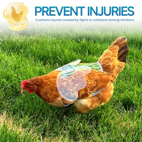 Chicken Saddles for hens with Wing | Chicken Apron Back Protector for Hens With Adjustable Strap, Chicken Hen Mating Saddle (Blue, Gray, Green) - color: Blue, Gray, Green