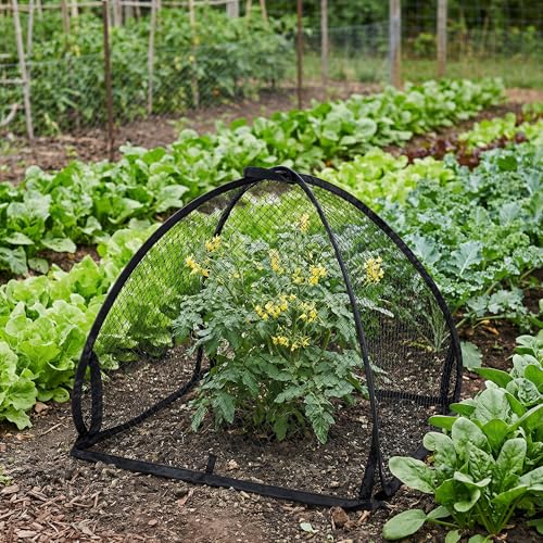 DECOHS 2 Pcs Pop-Up Mesh Plant Cover Tent, 22 x 22 x 22 Inch Garden Net Cage Guard Cover, Plant Protector Enclosure with 12 Ground Stakes for Protecting Plants Vegetable Fruit from Birds Insects - color: 22 x 22 x 22 inch