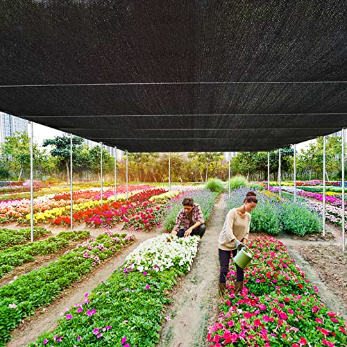 Shade Cloth- 90% Sunblock Net for Garden Patio,Shade Sails -for Plants Outdoor Pergola Lawn Sun Protection Covers for Chicken Coop, 3x12 FT - size: 3'x12'