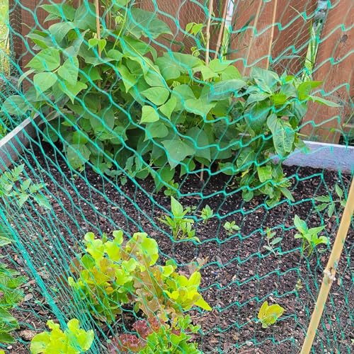 Bird Netting for Garden, 13 x 33Ft Anti Bird Net with 50 Ties and 20 Tacks | Plant Tree Netting for Protecting Fruit and Vegetables