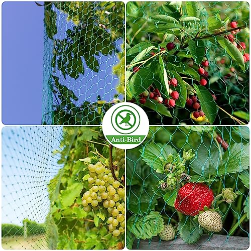 Sukh Bird Netting for Garden 13x33ft - Mesh Net for Garden Protection | Plastic Netting Cover for Trellis, Fence & Pond, Deer & Squirrel Proof for Fruit Tree Plant, Poultry Chicken Coop Cover