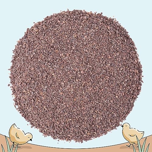 Baby Chick Grit, Age 0-8 Weeks, Quartzite Mineral, 4 lbs Bag | For Chicks Age 0-8 Weeks; Backyard Chickens & Small Flocks; 100% Quartzite/Crushed Granite Grit; Supports Digestion; Non-GMO - size: 4 Pounds (Pack of 1)