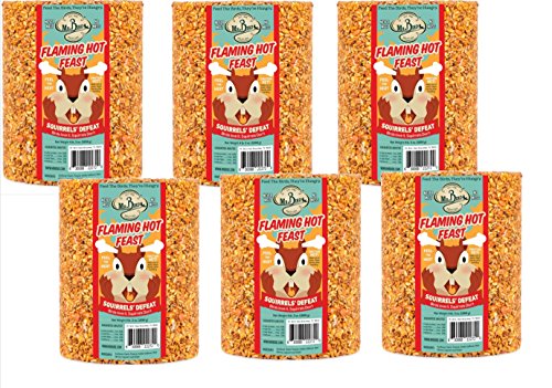 Mr. Bird Flaming Hot Feast Spicy Bird Seed Cylinder, 6-Pack, 4 lbs 3 oz | Premium Blend of Mealworms, Peanuts & Hot Pepper | Squirrel Repellent | Handcrafted in Texas - size: 4.19 Pound (Pack of 6)