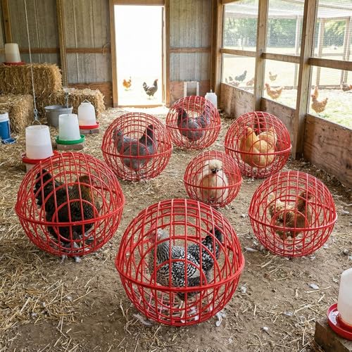 Leinuosen 4 Pack Chicken Ball Cage Movable Mesh Rabbit Coops Plastic Detachable Rolling Safety Hutch Prevents Dog Bites Horse Trampling for Bird Duck Outdoor(Red) - color: Red