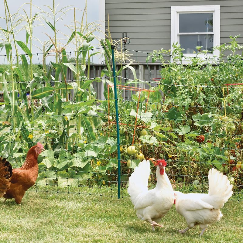 Premier 1 PoultryNet® Plus, Electric Fence for Chickens – 42"H x 100'L | Green/black, double spike. Posts every 6.8 ft to reduce sag. For chickens, ducks & geese. Energizer sold separately. - style: Green/Black