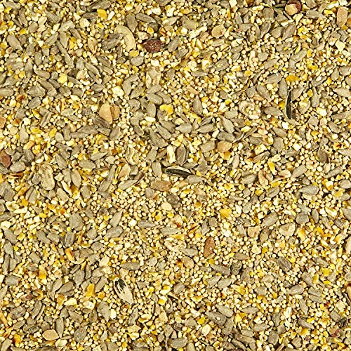 Kaytee Wild Bird (No Mess or Waste Free) Food Seed Blend for Blue Jays, Woodpeckers, Juncos, Cardinals, Grosbeaks, Sparrows, and Finches, 10 Pound, (Packaging May Vary) (Pack of 2) - size: 10 Pound (Pack of 2)