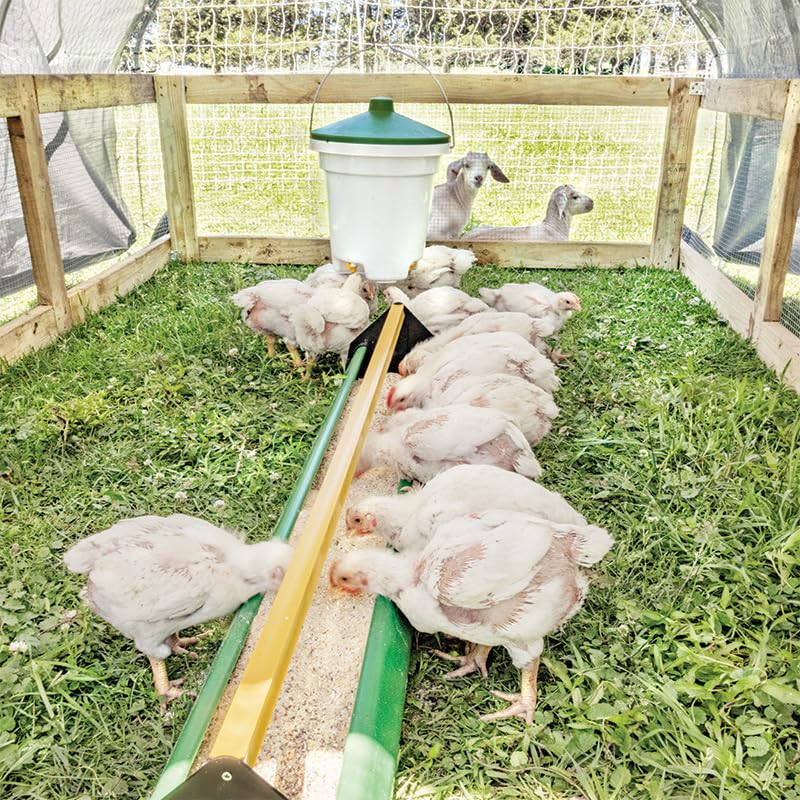 Premier 1 Broiler Trough Feeder for Chickens & Poultry - Green | 48" trough with unrestricted access. Square reel prevents roosting & doubles as carry handle. For broilers, ducks & turkeys.