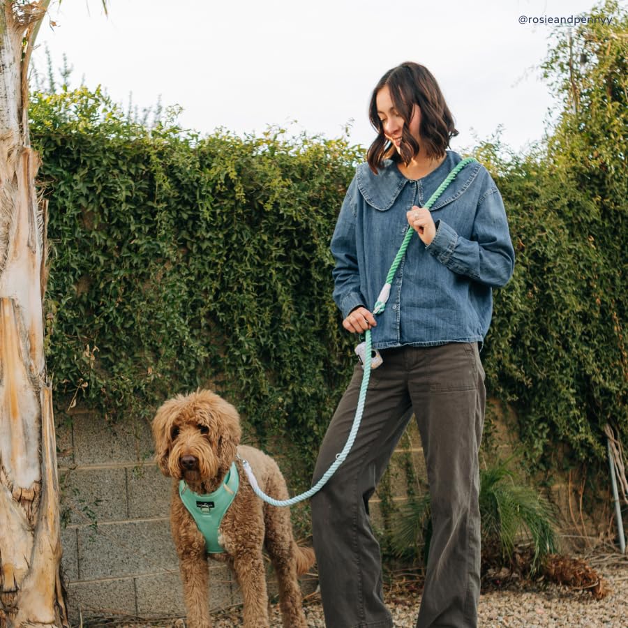 Spring Green Hands-Free Rope Leash - color: Spring Green Hands-Free Dog Leash