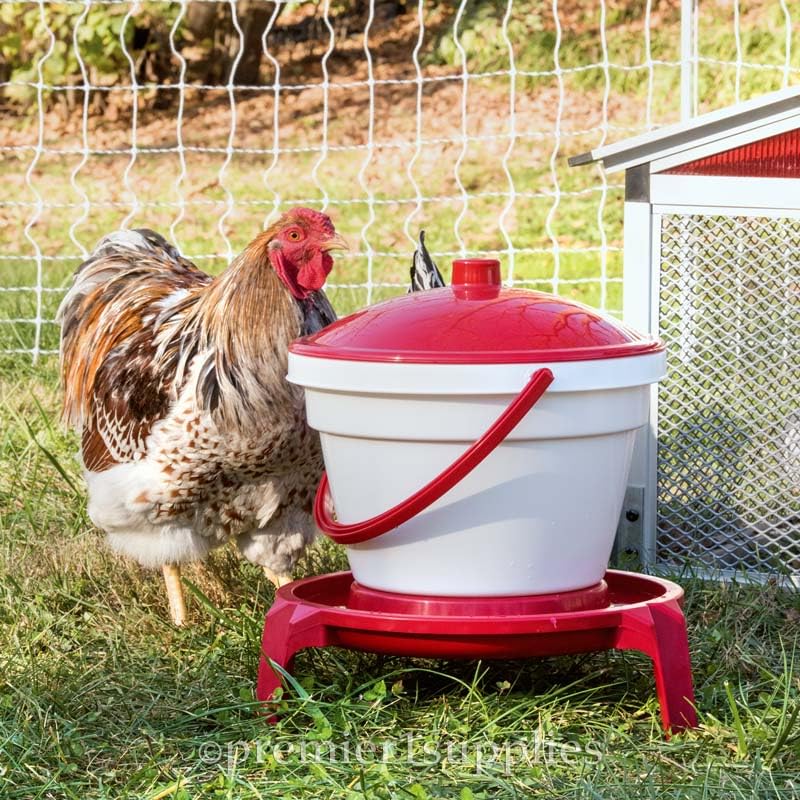 Premier 1 Quick Clean Poultry Waterer for Chickens & Poultry - 3 Gallon | Remove lid to refill. Legs elevate waterer 5" above bedding. Up to 35 adult birds. Level surface required. Not for hanging.