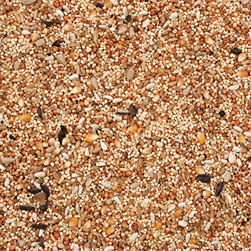 Wild Delight Dove & Quail Food, 20 lb - size: 1 Count (Pack of 1)