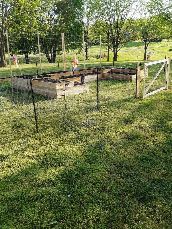 5 Feet Green, Pack of 10 Metal Fence Post, for 48 Inch High Garden Welded Wire Fence U-Channel Steel Garden Post - size: 5',10 PCS