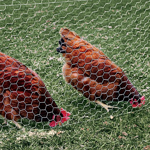 YARDGARD 2 Inch Poultry Netting, Chicken Wire Fence, 20 Gauge Galvanized Steel, Rabbit Fencing, Bird Enclosures, Garden Protection and Plant Support, 48 Inches x 150 Feet