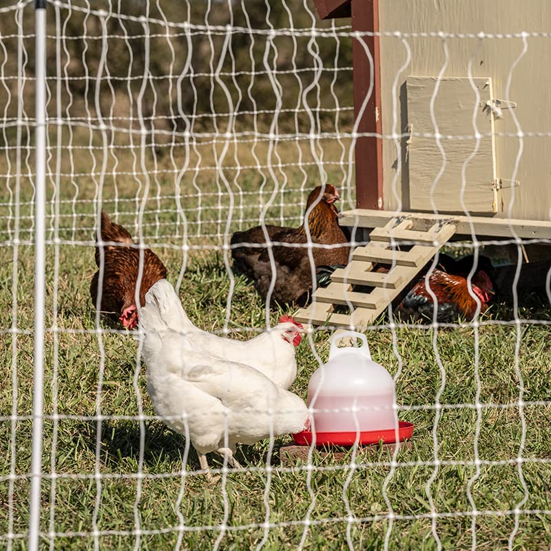 Premier 1 Mid Connect Poultry Waterer – 1 Gallon, Easy to Clean | Mid-connect locking system keeps bayonet connections clear of bedding. Easier to clean than standard waterers. 1 gallon.