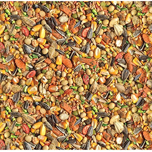 Wild Harvest Advanced Nutrition Parrot 8 Pounds, Seed, Grain and Vegetable Mix (Pack of 2) - size: 8 Pound (Pack of 2)