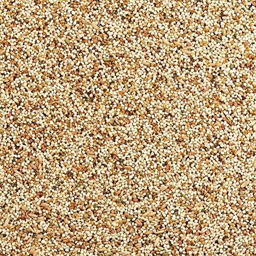 Wild Harvest Daily Blend Nutrition Diet for Parakeet, Canary and Finch 10 Pounds, Orange flavour - size: 10 Pound (Pack of 1)