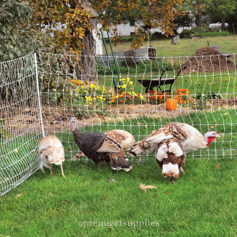 Premier 1 PoultryNet® Plus, Plug-in Starter Kit for Chickens – 48"H x 100'L | White/black. Plug-in energizer & cable, support posts & tester included. Double spike, posts every 6.8 ft to reduce sag. - color: White/Black