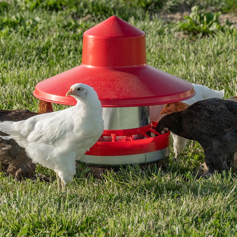 Premier 1 Galvanized Cone Feeder Kit for Chickens & Poultry – 22 lb | Heavy-duty galvanized metal. Free standing or hanging. Built-in handle. For broilers to layers & waterfowl. - style: Feeder Kit