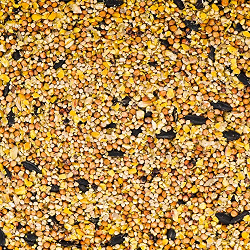 Kaytee Wild Bird American Blend Seed Cake, 2.3 Pounds - size: 2.3 Pound (Pack of 1)