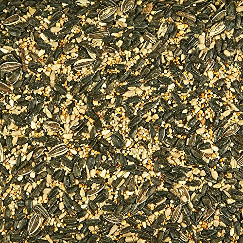 Kaytee Northeast Regional Wild Bird Blend,7-Pound Bag,(Pack of 6) - size: 7 Pound (Pack of 6), style: Northeast