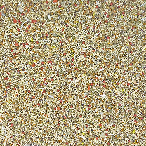 Higgins 2 Pack of Sunburst Gourmet Blend Parakeet Food, 2 Pounds Each, with Protein Egg Food
