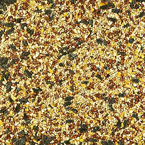 Kaytee All American Wild Bird Food Seed Blend for Cardinals, Blue Jays, Finches & Other Outdoor Wild Birds, 5 Pounds - size: 5 Pound (Pack of 1)