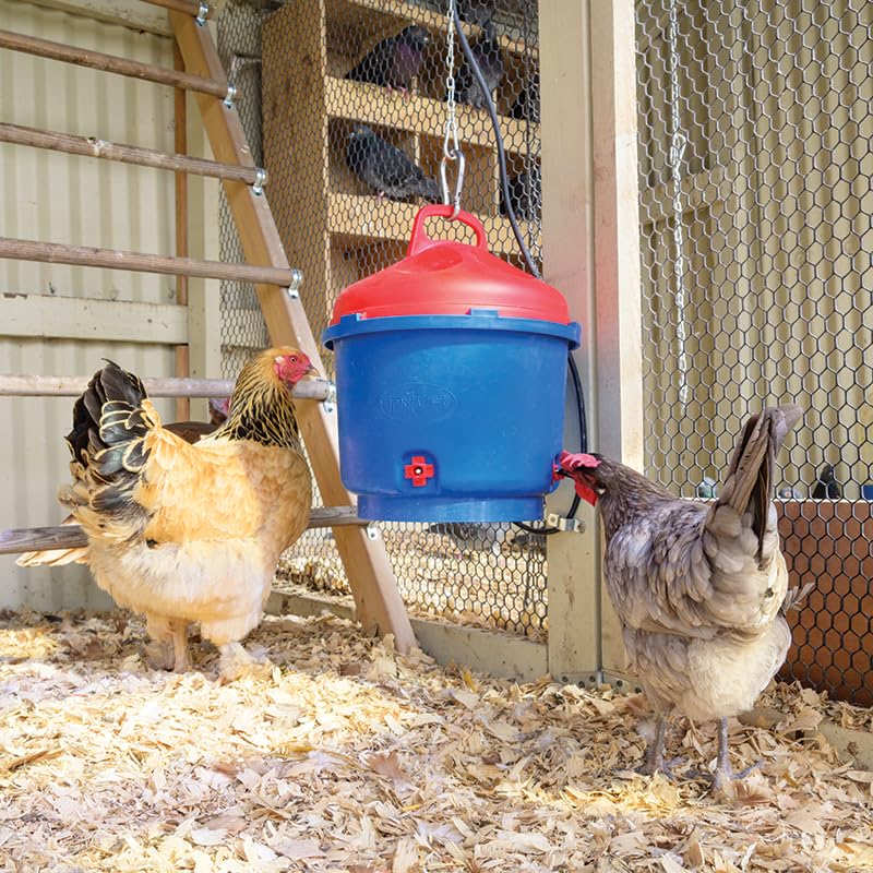 Premier 1 All-Season Heated Poultry Waterer for Chickens & Ducks – 3 Gallon | 100W thermostat keeps water unfrozen to -20°F. Quick-fill cap, 3 recessed nipples, 16 ft detachable cord. Up to 35 birds.