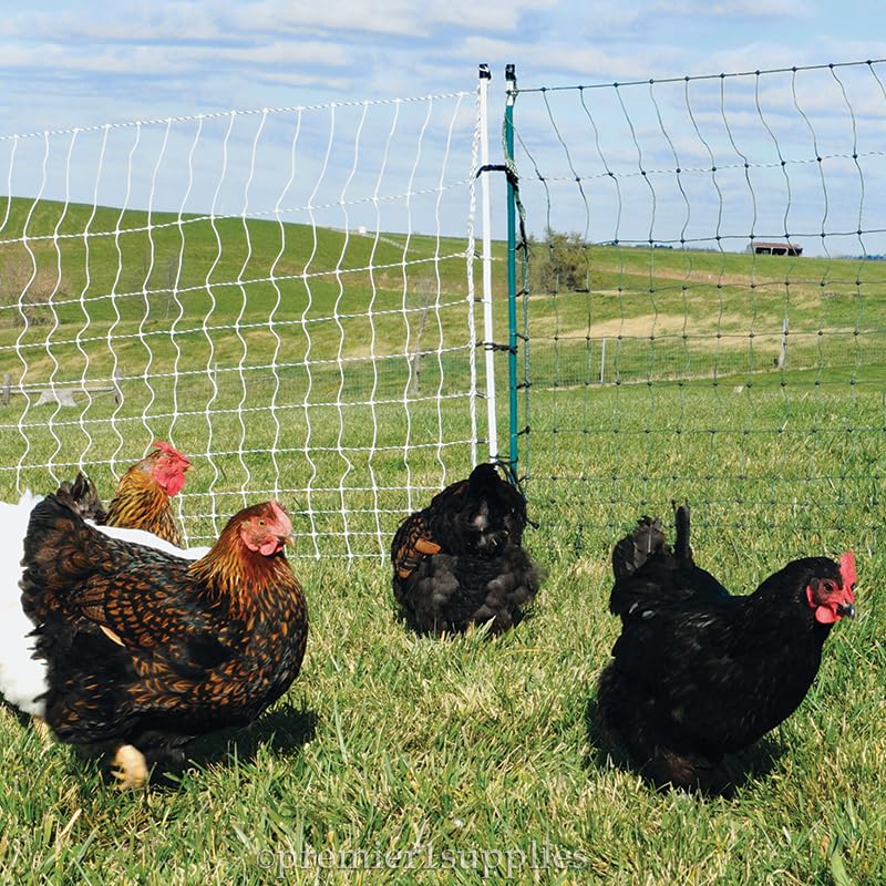 Premier 1 PoultryNet® Plus, Electric Fence for Chickens – 42"H x 100'L | Green/black, double spike. Posts every 6.8 ft to reduce sag. For chickens, ducks & geese. Energizer sold separately. - style: Green/Black
