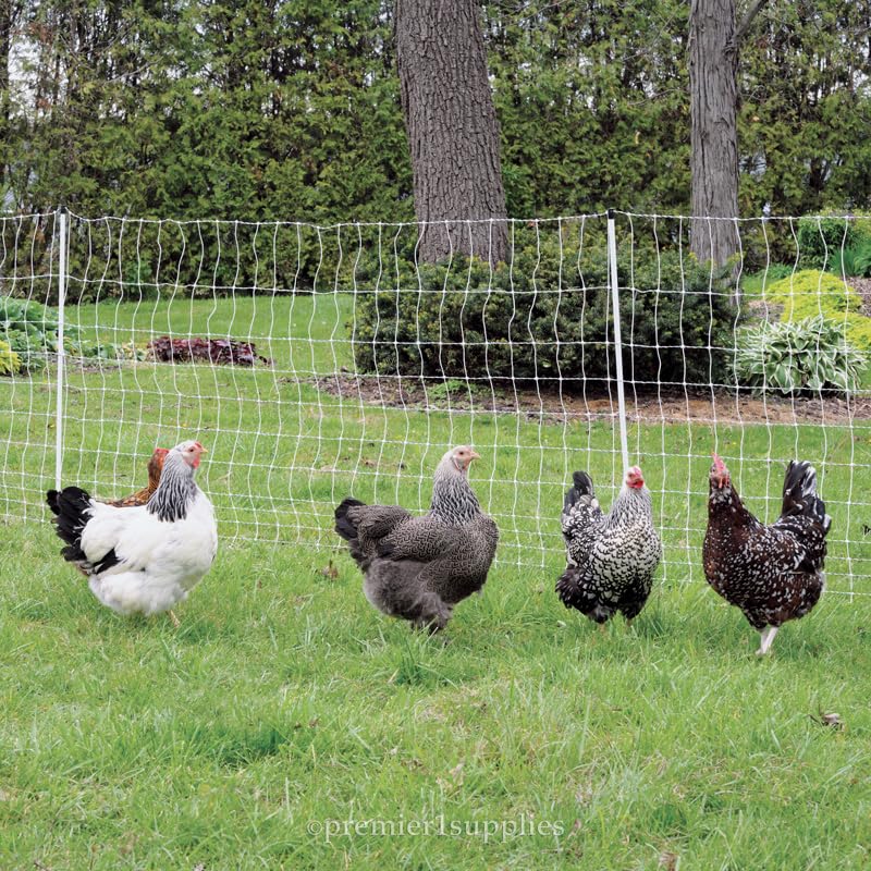 Premier 1 PoultryNet® Plus, Plug-in Starter Kit for Chickens – 48"H x 100'L | White/black. Plug-in energizer & cable, support posts & tester included. Double spike, posts every 6.8 ft to reduce sag. - color: White/Black