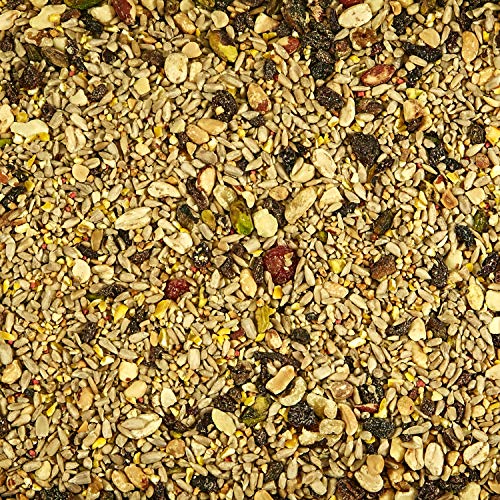 Kaytee Wild Bird Food, 5.5 Pound | Waste Free | Nut and Fruit Blend | For Multiple Bird Species | Pack of 2 - size: 5.5 Pound (Pack of 2)