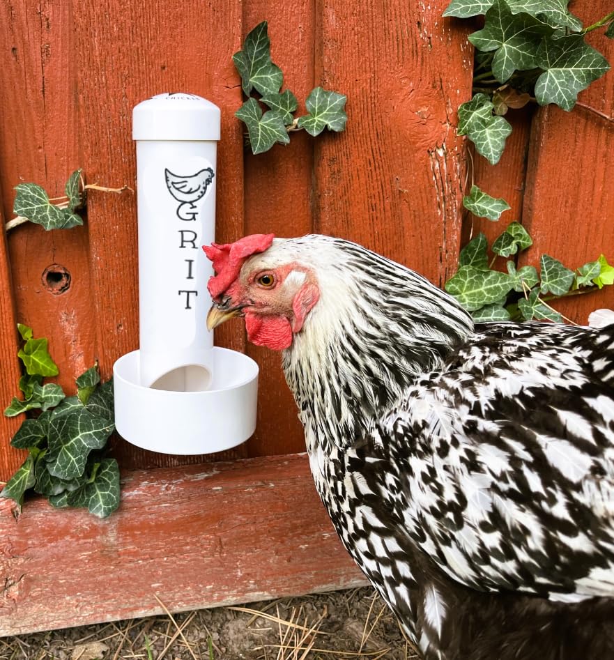 Grit Feeder for Chickens